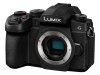 Panasonicipi\jbNjDC-G99M2 {fB [ubN]  LUMIX  fW^J